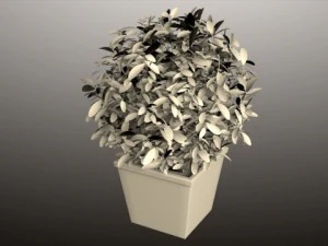 plant in pot 01 vray 3D Model