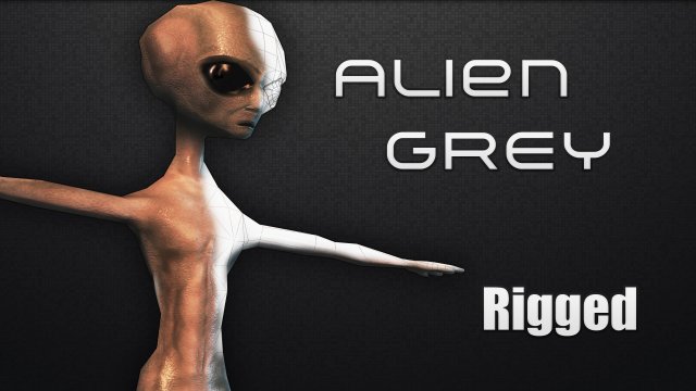 alien grey Modèle 3D .c4d .max .obj .3ds .fbx .stl .blend 