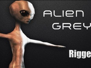alien grey 3D-Modell