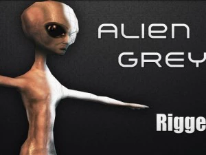 Aliengrau 3D Modell