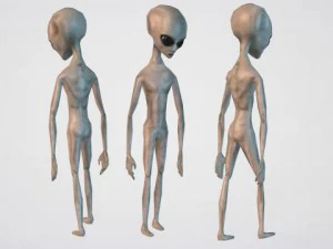 alien grey 3D Model