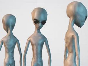 alien grey 3D Model