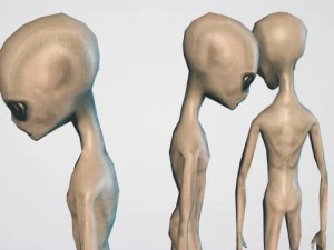 alien grey 3D Model