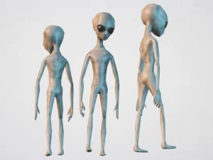 alien grey 3D Model