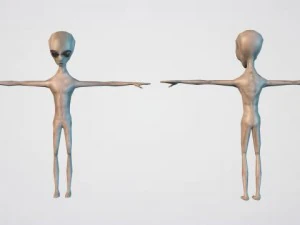 alien grey 3D Model