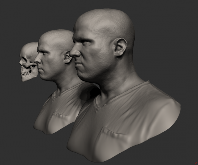 Male human head scan with neutral angry expression Includes 3D scan of a real human skull Modèle 3D .c4d .max .obj .3ds .fbx .stl .blend 