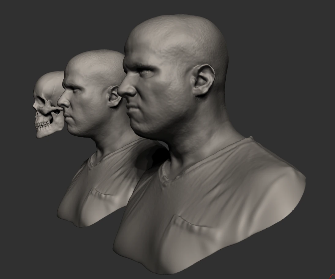 Male human head scan with neutral angry expression Includes 3D scan of a real human skull 3D Model .c4d .max .obj .3ds .fbx .stl .blend 