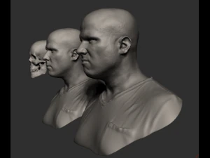 Male human head scan with neutral angry expression Includes 3D scan of a real human skull 3D Model