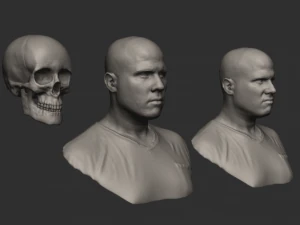 Male human head scan with neutral angry expression Includes 3D scan of a real human skull 3D Model
