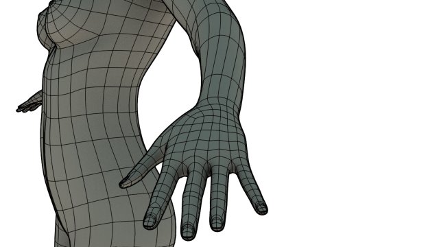 toon anime base 3D Model .c4d .max .obj .3ds .fbx .stl .blend 