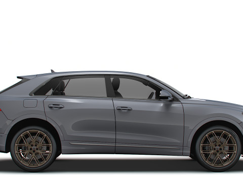 Audi RS Q8 Performance 2024 3D Model