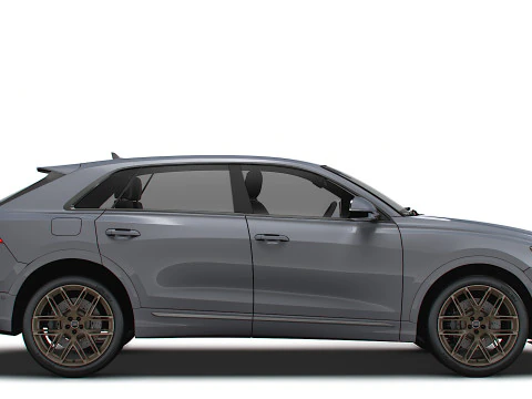 Audi RS Q8 Performance 2024 3D Model