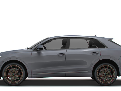 Audi RS Q8 Performance 2024 3D Model