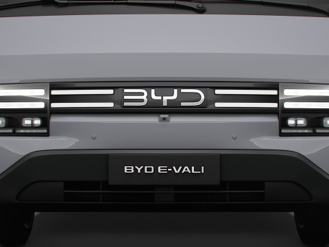 BYD E Vali SWB 2025 3D Model