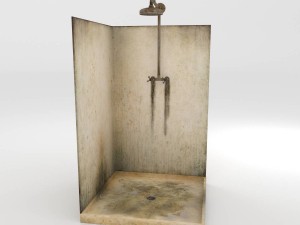 dirty shower Model 3D