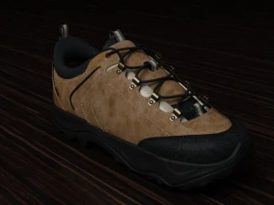 ecco xpedition like shoe 3D Model