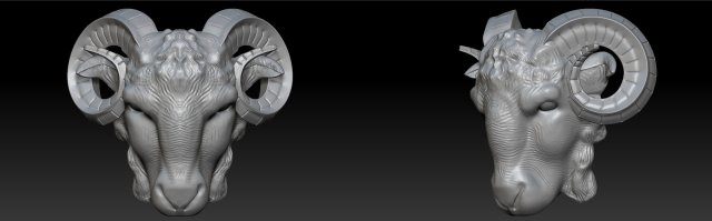 head of sheep 3D Model .c4d .max .obj .3ds .fbx .stl .blend 