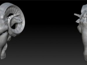head of sheep 3D Model