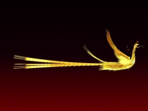 phoenix Model 3D