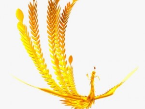 phoenix Model 3D