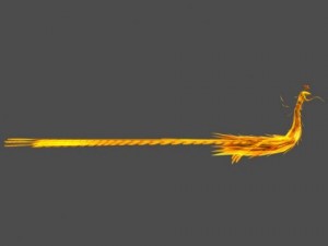 phoenix Model 3D