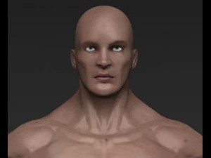 पुरुष नग्न 3D मॉडल