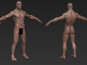 male nude 3D 模型
