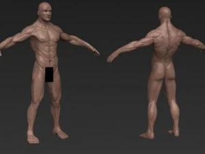 male nude 3D Model