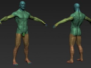 male nude 3D 模型