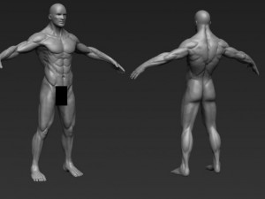 male nude 3D 模型