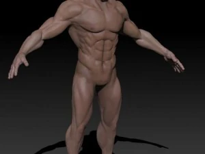 विस्तृत पुरुष नग्न 3D मॉडल