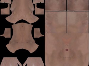 detailed male nude Model 3D