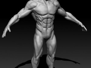 detailed male nude Model 3D