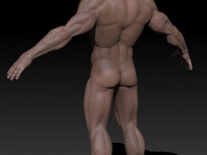 detailed male nude Model 3D