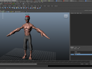 heavy hitter rigged 3D Model