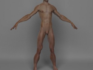 photo realistic male Modello 3D