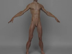 फोटो यथार्थवादी पुरुष 3D मॉडल