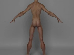 photo realistic male 3D Model