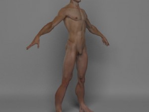 photo realistic male 3D Модель