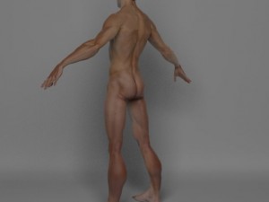 photo realistic male 3D Модель