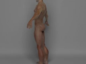 photo realistic male 3D Model