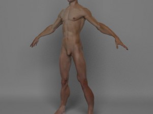 photo realistic male 3D Модель