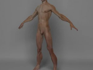 photo realistic male 3D Model