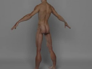 photo realistic male 3D Model