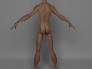 photo realistic male 3D Модель