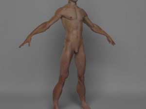photo realistic male 3D Модель