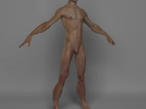 photo realistic male 3D Model