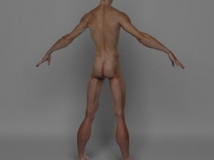 photo realistic male 3D Модель