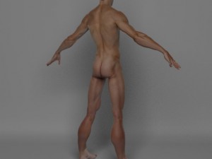 photo realistic male 3D Модель