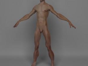 photo realistic male 3D Модель